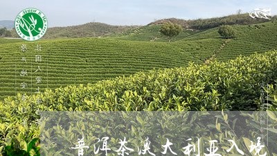 普洱茶澳大利亚入境/2023062701805