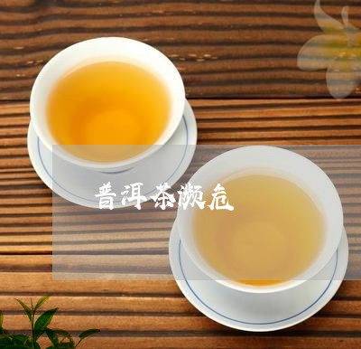 普洱茶濒危/2023090507257