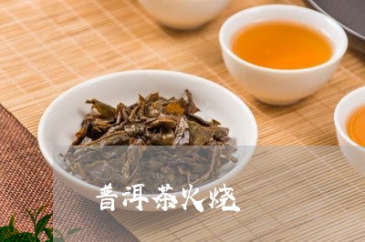 普洱茶火烧/2023090683713