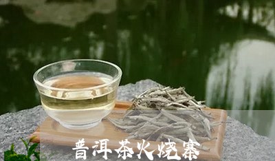 普洱茶火烧寨/2023042624039