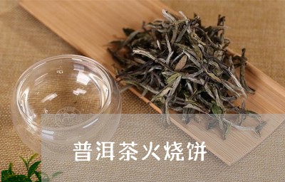 普洱茶火烧饼/2023042807393