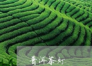 普洱茶灯/2023110883959