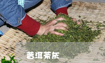 普洱茶灰/2023110888603