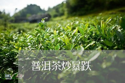 普洱茶炒暴跌/2023042638995