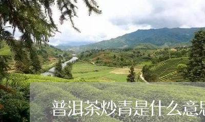 普洱茶炒青是什么意思/2023062316169