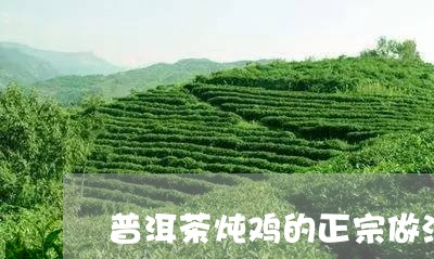 普洱茶炖鸡的正宗做法/2023062542827