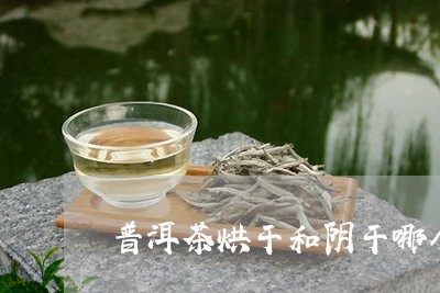 普洱茶烘干和阴干哪个好喝/2023102544050