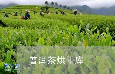 普洱茶烘干库/2023042721238