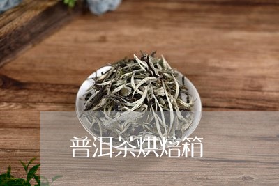 普洱茶烘焙箱/2023042795719