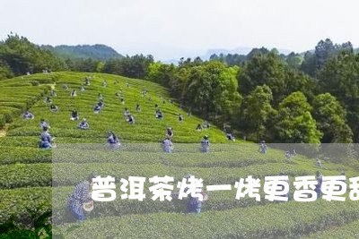 普洱茶烤一烤更香更甜/2023101771705