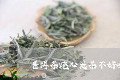 普洱茶烧心是茶不好吗/2023080306038