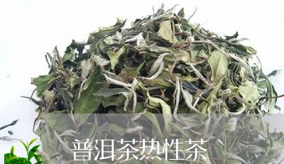 普洱茶热性茶/2023042891731