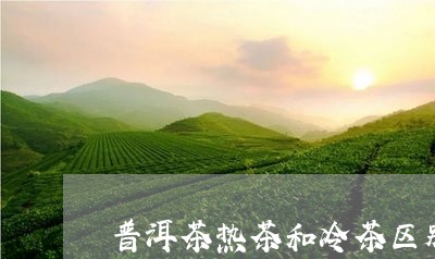 普洱茶热茶和冷茶区别/2023080324725