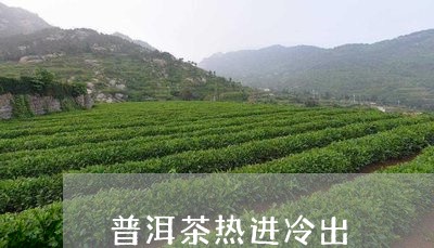 普洱茶热进冷出/2023121749595