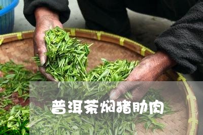 普洱茶焖猪肋肉/2023102699271