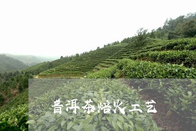 普洱茶焙火工艺/2023120305150