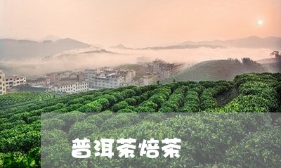 普洱茶焙茶/2023090505049