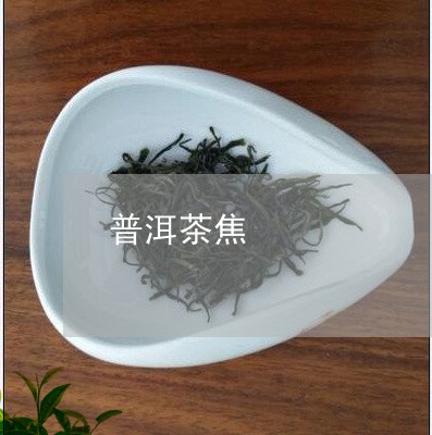 普洱茶焦/2023121895959