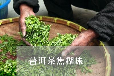 普洱茶焦糊味/2023042741046