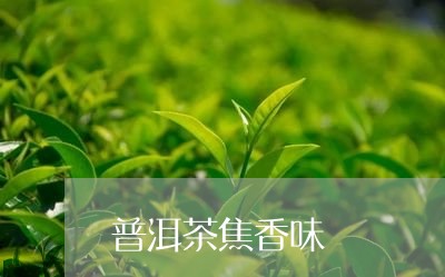 普洱茶焦香味/2023042886050