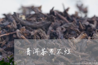 普洱茶煮不烂/2023042834753