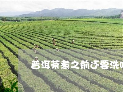 普洱茶煮之前还要洗吗/2023062226050