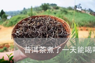 普洱茶煮了一天能喝吗/2023092504170