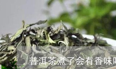 普洱茶煮了会有香味吗/2023062915170