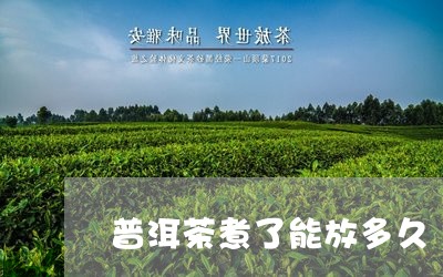 普洱茶煮了能放多久/2023112564814