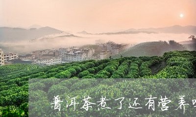 普洱茶煮了还有营养吗/2023061525840