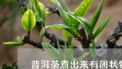 普洱茶煮出来有团状物/2023073120704