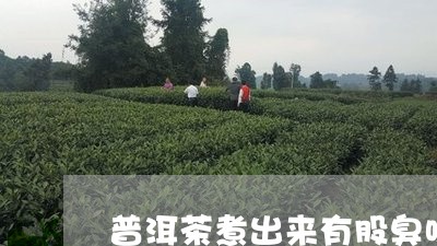 普洱茶煮出来有股臭味/2023093069784