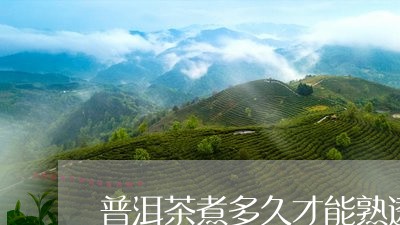 普洱茶煮多久才能熟透口感/2023121785049