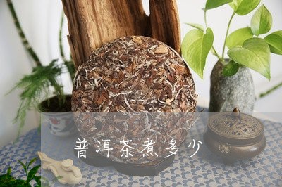 普洱茶煮多少/2023042936915