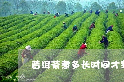 普洱茶煮多长时间才熟/2023061515149