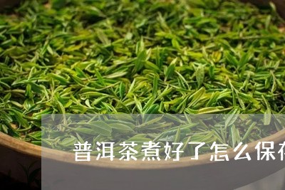 普洱茶煮好了怎么保存/2023080169514