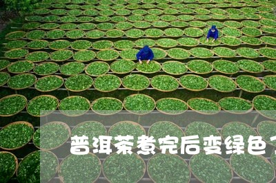 普洱茶煮完后变绿色了正常吗/2023082885047