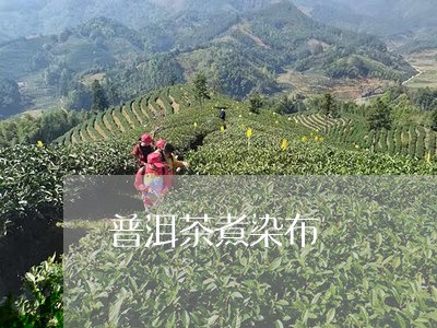 普洱茶煮染布/2023042658932