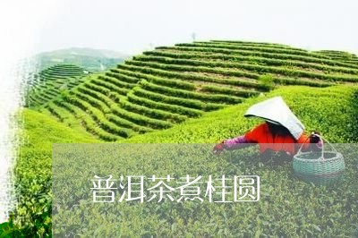 普洱茶煮桂圆/2023042627361