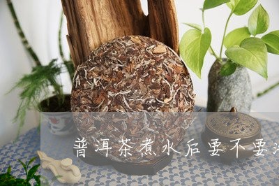 普洱茶煮水后要不要洗/2023092706280