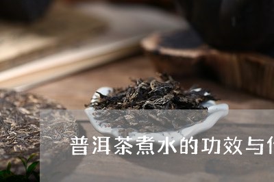 普洱茶煮水的功效与作用/2023122083936