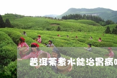 普洱茶煮水能治胃病吗/2023092965157