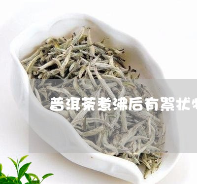 普洱茶煮沸后有絮状物/2023062581627