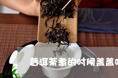 普洱茶煮的时候盖盖吗/2023092603916