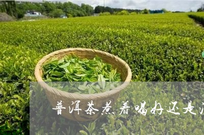 普洱茶煮着喝好还是泡着喝好/2023052935068