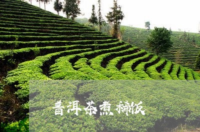 普洱茶煮稀饭/2023042928566