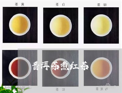 普洱茶煮红茶/2023042815914