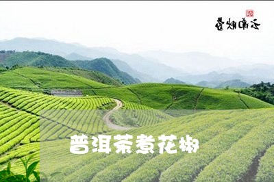 普洱茶煮花椒/2023042605802