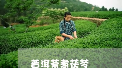 普洱茶煮茯苓/2023042753227