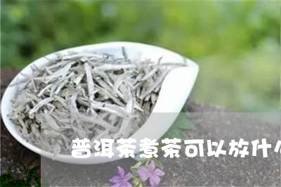 普洱茶煮茶可以放什么/2023120614915